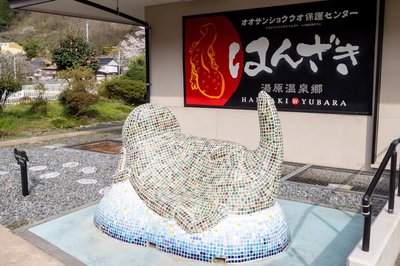 🦎 일본왕도롱뇽 센터(한자키 센터) 이미지 2